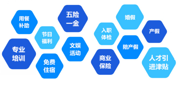 提供全面、系統(tǒng)、專業(yè)的培訓和廣闊的<br>職業(yè)發(fā)展空間和提升機會